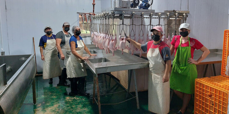 PARATE TOTAL. Tras la primera tanda de pollitos la entidad cooperativa no pudo volver a faenar la producción.