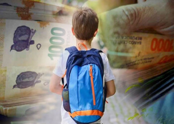 Cuota alimentaria: la Canasta de Crianza ya fue tomada como indicador en 19 fallos