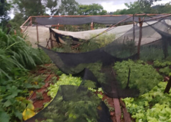 El temporal de viento, lluvia y granizo causó pérdidas millonarias a feriantes