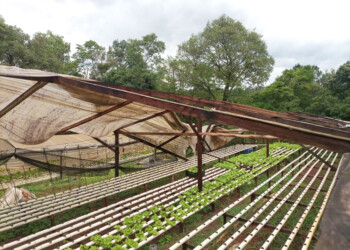 El temporal de viento, lluvia y granizo causó pérdidas millonarias a feriantes