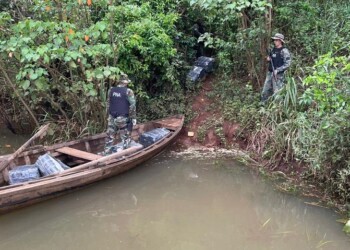 Decomisaron más de 200 kilos de marihuana en la zona ribereña de Puerto Libertad