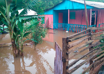 En Misiones, unas 80 familias fueron evacuadas por la crecida del río Uruguay