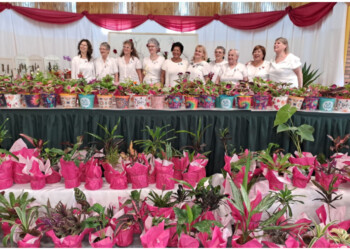 Más de 30 años evaluando las bellezas de Montecarlo