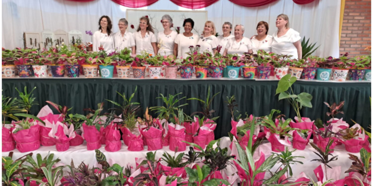 Desde hace 32 años el predio del parque se cubre de orquídeas. Es una pasión para quienes las cultivan, acercar sus ejemplares y exponerlos en los stands para que los visitantes las aprecien y luego, participar de la competencia.