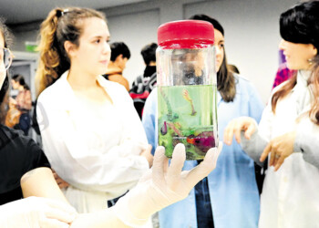 Kermés científica: una muestra para conocer qué, cómo y quiénes investigan