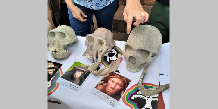 STANDS. Participarán más de 15 stands sobre diversas ramas científicas.