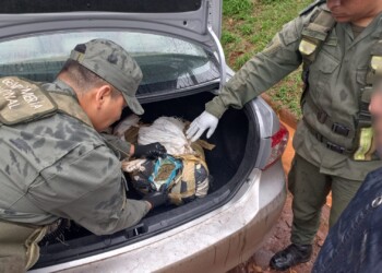 Decomisan en Apóstoles 23 kilos de marihuana