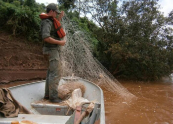 Rige la veda total de pesca en el río Uruguay en Misiones