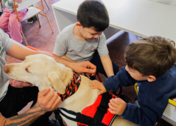 Posadas promueve la terapia asistida por animales: de qué se trata la iniciativa