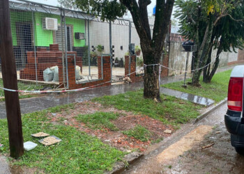 Un cable caído causó la muerte de dos perros en Posadas