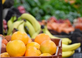 Frutas tropicales: una opción para las chacras misioneras