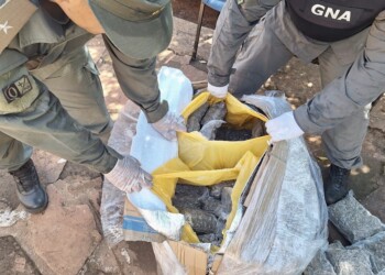 Detectaron tres narco encomiendas enviadas desde Puerto Rico