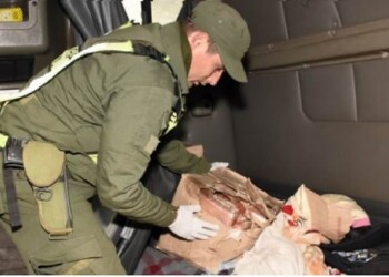 Condenaron a camionero de Misiones por tráfico de drogas