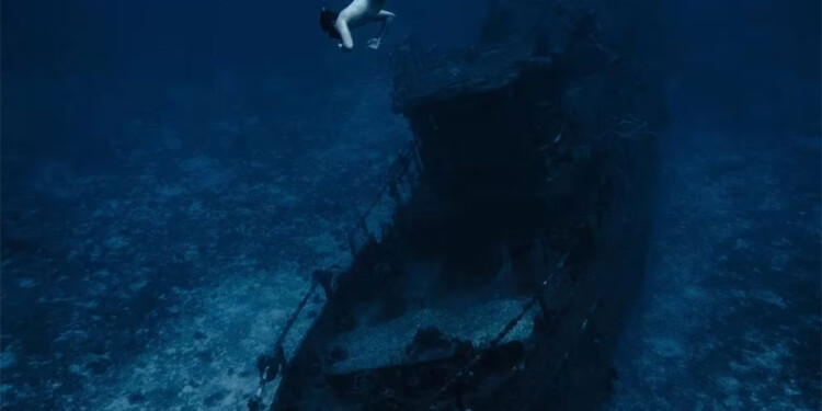 Un argentino, el “Mejor fotógrafo de naturaleza” del mundo