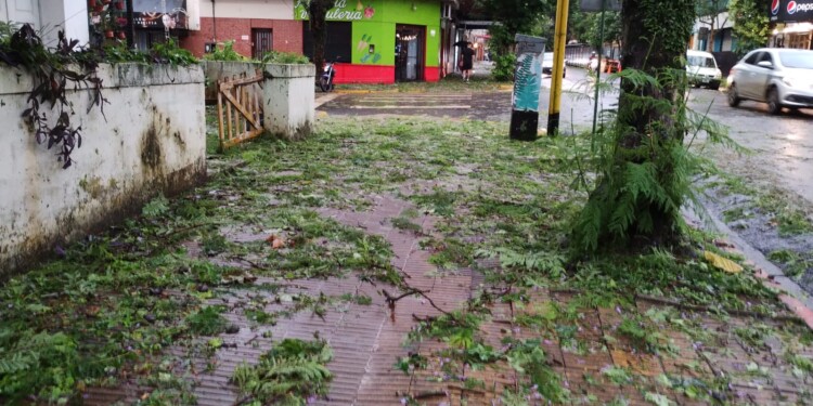 Herrera Ahuad convocó al Gabinete a una reunión de emergencia luego del temporal