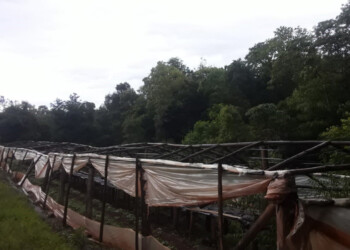 Feriantes del Norte empiezan una lenta reconstrucción