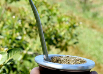 Exportaciones de yerba, con la mayor suba de las economías regionales