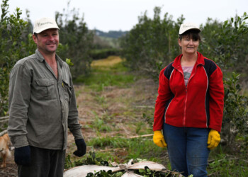 El RENATRE aumentó la prestación por desempleo para trabajadores rurales