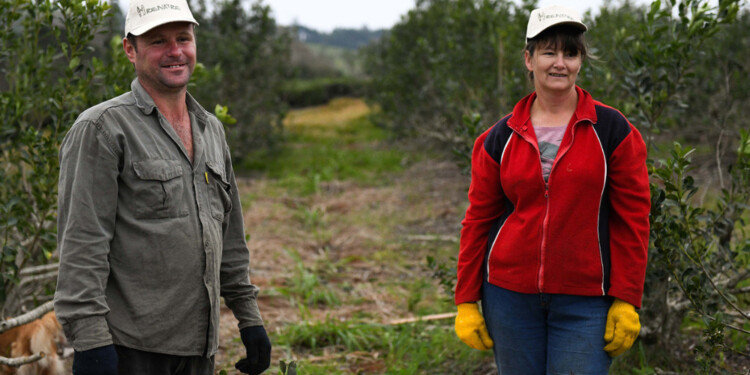 SEGURO DE DESEMPLEO. El RENATRE actualizó los montos mínimos y máximos. Se verá reflejado en diciembre.