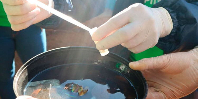 “ESTAMOS EN PROBLEMAS”. Hay que limitar al vector entre todos.