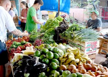 En las ferias francas habrá menos verduras de hoja y más caras