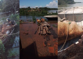 Inundados en Isla Apipé: “Me parece muy raro que no haya un aviso con anticipación”