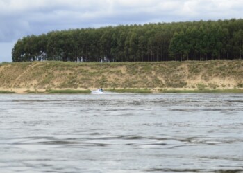 Ituzaingó: buscarán en peces bacterias resistentes a antibióticos
