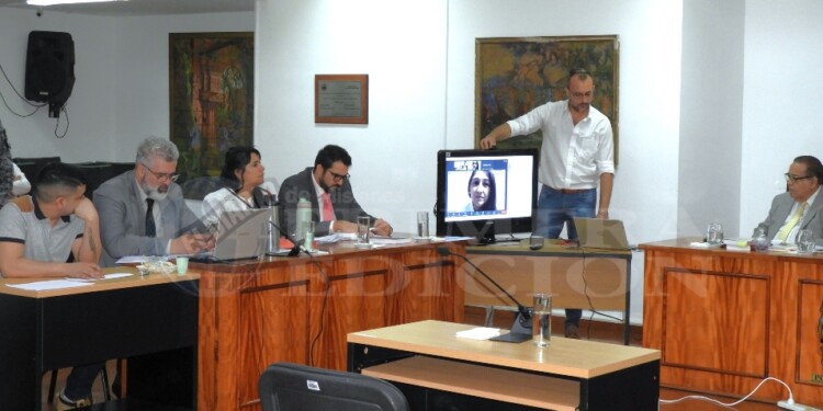 VIDEOLLAMADA. Silvina Lanzos, integrante del Cuerpo Médico Forense del Superior Tribunal de Justicia, precisó ayer a través de la plataforma digital Zoom, las conclusiones de autopsia.