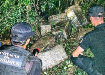 Encontraron casi 400 kilos de marihuana ocultos en el monte en Urquiza