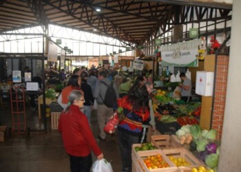 El 8 de diciembre no abrirán al público los Mercados Concentradores de Misiones