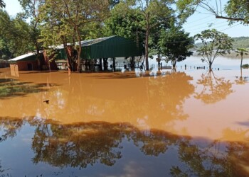 Los clubes de pesca sufren los embates del Paraná y el Uruguay