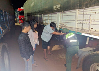 Secuestraron más de 360 toneladas de soja sin aval aduanero que eran trasladadas a Misiones