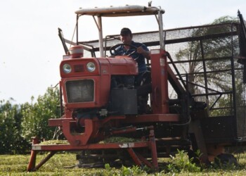 La suma de todos los daños mantiene en rojo a los tealeros