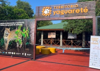 Territorio Yaguareté, un lugar para disfrutar, conocer y tomar conciencia