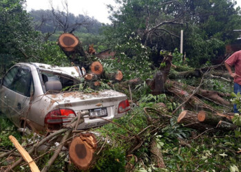 Misiones: más de 650 evacuados por el temporal y la crecida del río Uruguay
