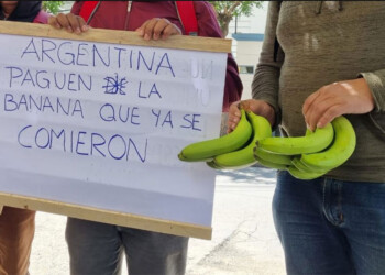 Por una deuda de US$ 21 millones, peligra el abastecimiento de bananas en Argentina