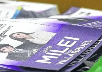 Atrapan a un joven de 16 años que robaba boletas de Milei