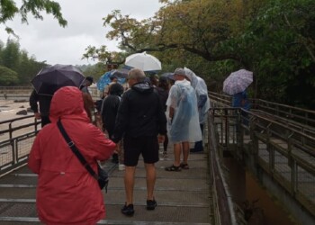 Habilitaron un nuevo tramo en Cataratas