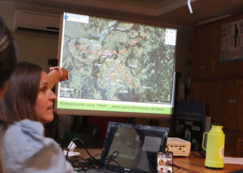 Ciervo axis: plantean llevar el tema al ámbito de la Legislatura