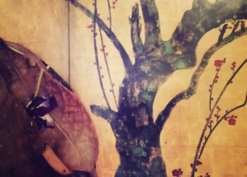 Visión cósmica de la vida