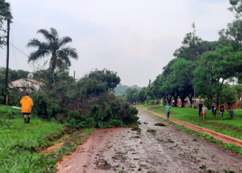 Fuerte temporal en Corrientes causó destrozos e inundaciones