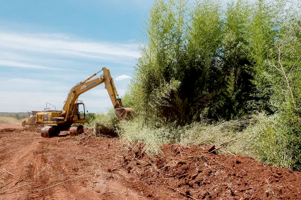 Advierten que la deforestación afecta el suelo y trae inundaciones