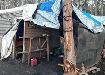 Misioneros eran explotados en condiciones “inhumanas” en Entre Ríos