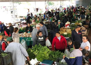 Ferias Francas de Posadas trabajarán normalmente el domingo de elecciones