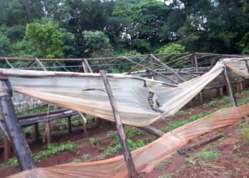 Pérdida total de agricultores familiares en la zona del Hipódromo, Parma y El Porvenir