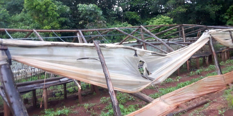 FURIA DEL CLIMA. Invernaderos perforados y caídos como parte de la ganizada que azotó Posadas en el amanecer.