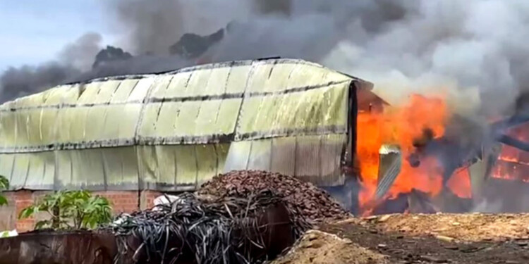 Foto: Gentileza Norte Misionero