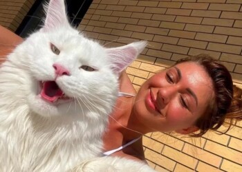 El gato más grande del mundo