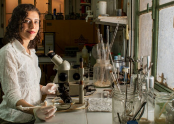 Ingeniera química misionera será galardonada con prestigioso premio