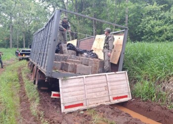 Secuestraron más de cinco toneladas de marihuana en San Ignacio
